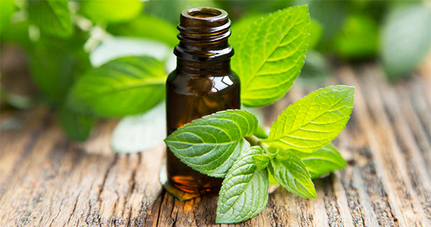 Essential Peppermint Oil