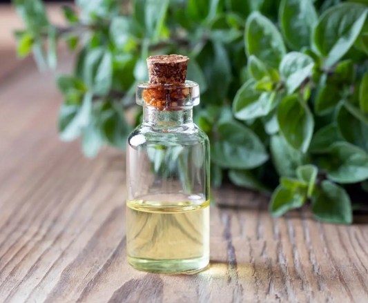 Essential Sage Oil
